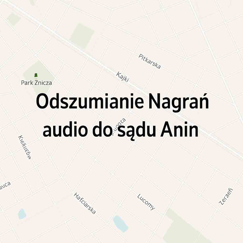 Odszumianie Nagrań audio do sądu Anin
